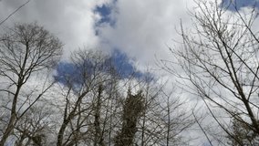 Time lapse video of clouds over bare tree branches.