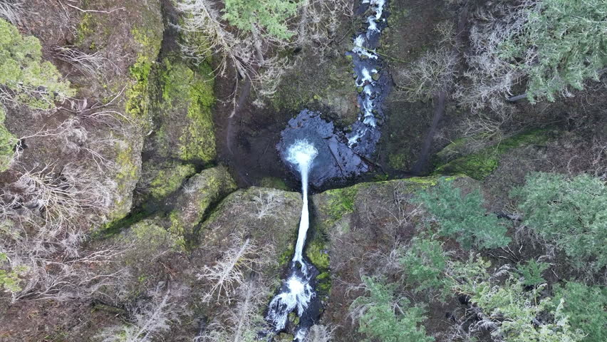 The beautiful Horsetail Falls is located on the Oregon side of the Columbia River Gorge. This scenic natural wonder, along with many other waterfalls, is just a 30 minute drive east of Portland.