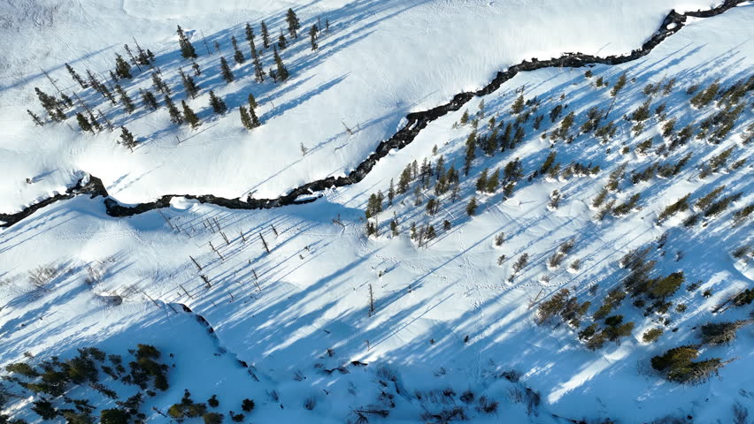 Early morning light shines snow and sparse forest near Mount Hood, Oregon. Mt Hood has one of the longest ski seasons in the U.S. due to its annual snow pack.