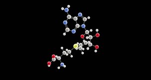 s-adenosyl methionine molecule, rotating 3D model of cosubstrate c15h22n6o5s, looped video with alpha channel