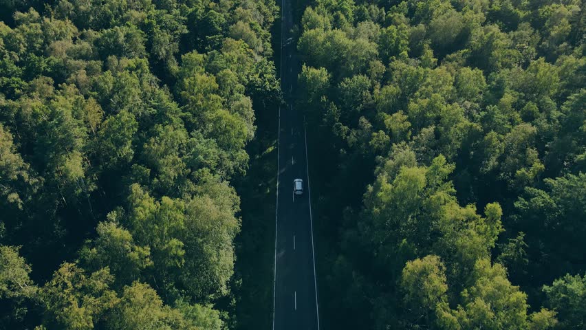 Aerial view of car driving on country road in pine forest in sunny day. Drone follow the vehicle in the forest. 4k drone video