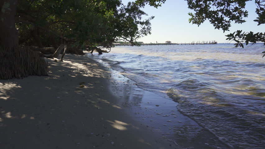 Small waves of Tampa Bay at De Soto National Memorial. Mangrove trees and sand. Park commemorates Hernando de Soto