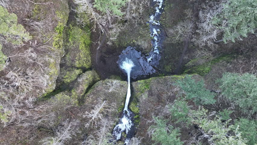 The beautiful Horsetail Falls is located on the Oregon side of the Columbia River Gorge. This magnificent natural wonder, along with many other waterfalls, is just a 30 minute drive east of Portland.