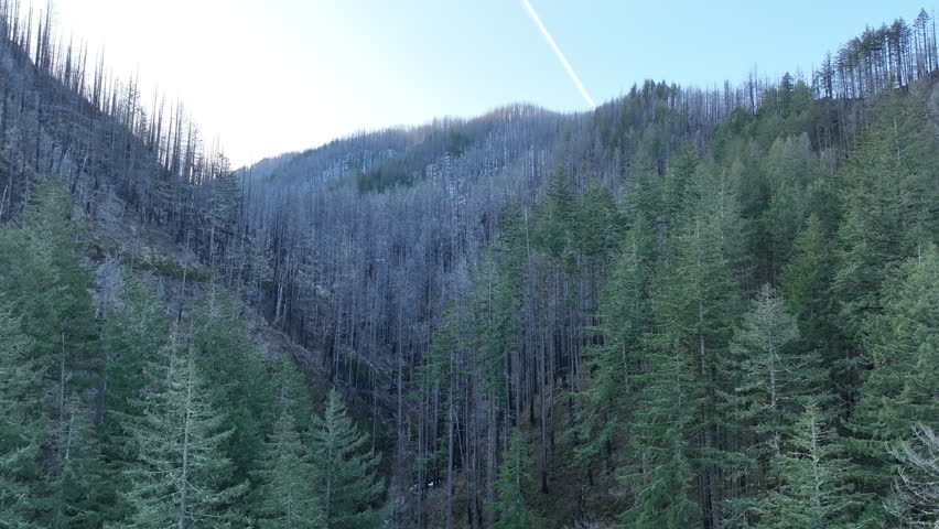 The beautiful Horsetail Falls is located on the Oregon side of the Columbia River Gorge. This magnificent natural wonder, along with many other waterfalls, is just a 30 minute drive east of Portland.