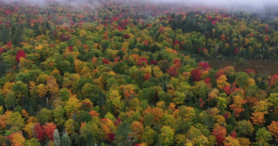 Aerial view of the Adirondack Interpretive Center nature area on a misty day during autumn in Upstate New York.