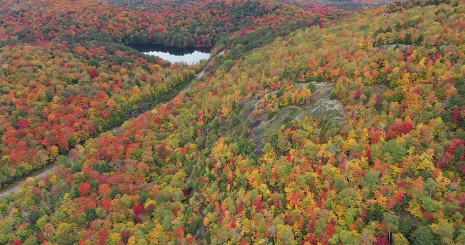 A road slices through the colorful autumn landscape along Panther Pond near Panther Mountain Bog in Adirondack Park in Upstate New York.