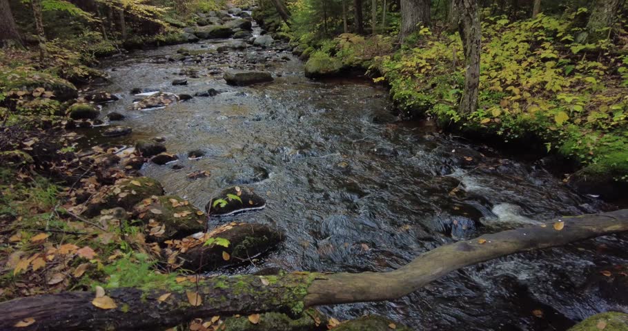 Pine Brook, a tributary of the Raquette River, flows through a forest during autumn in Adirondack Park in Upstate New York.