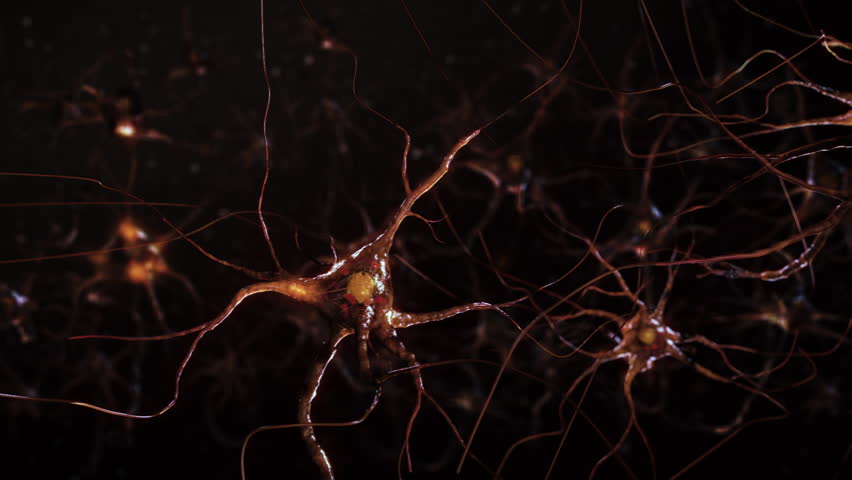 Neurons And Neural Connections 3D Render. Neuronal Activity in the Brain, Neurogenesis, Neurotransmitters, Electrical Impulses, Synapses. Royalty-Free Stock Footage #1102044193