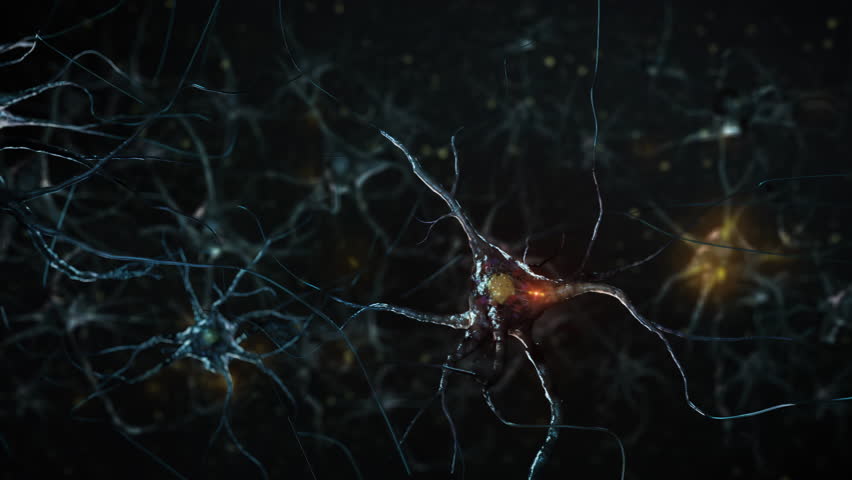 3D Animation of Neurons Firing Electrical Impulses. Nerve Cell Activity in the Brain, Neurogenesis, Neurotransmitters, Synapse. Nervous System.
 Royalty-Free Stock Footage #1102044205
