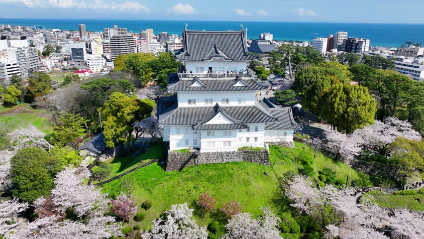 Aerial view of historic Japanese castle in spring with cherry blossom, Odawara samurai castle in Japan, tourism in Japan, Japanese culture and history. High quality 4k footage Royalty-Free Stock Footage #1102057847