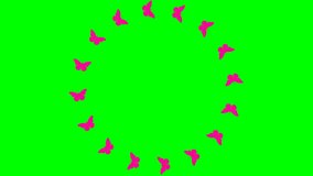 Animated frame from magenta butterflies fly in a circle. Looped video. Summer and spring concept. Vector illustration isolated on green background.