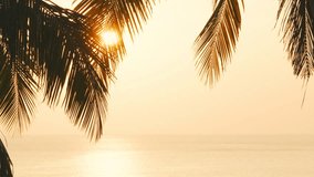 Sunset palm tree leaf. Silhouette leaves orange golden sky sunset beach. Close up sun shines through branch warm light summer.  - Powered by Shutterstock - Get 15% off with code: PIKWIZARD15