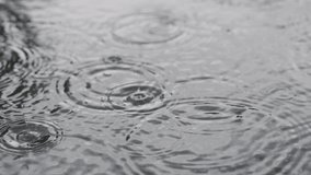 Slow motion closeup of summer heavy rain drops falling into puddles on asphalt - Powered by Shutterstock - Get 15% off with code: PIKWIZARD15