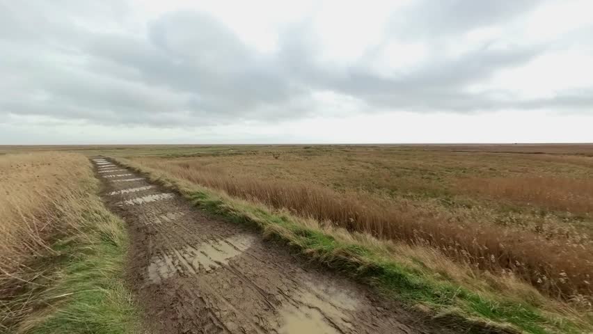 Sweeping panorama across Dunwich marsh and reed bed in Suffolk. Captured in the springtime