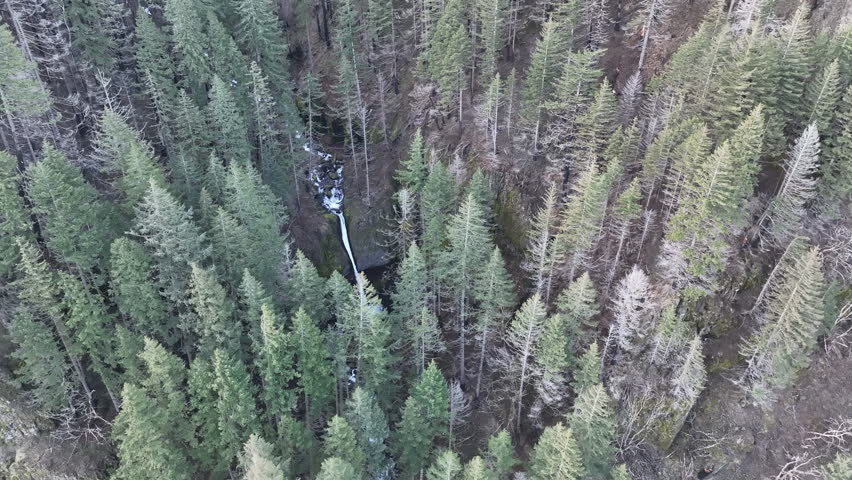The beautiful Horsetail Falls is located on the Oregon side of the Columbia River Gorge. This magnificent natural wonder, along with many other waterfalls, is just a 30 minute drive east of Portland.