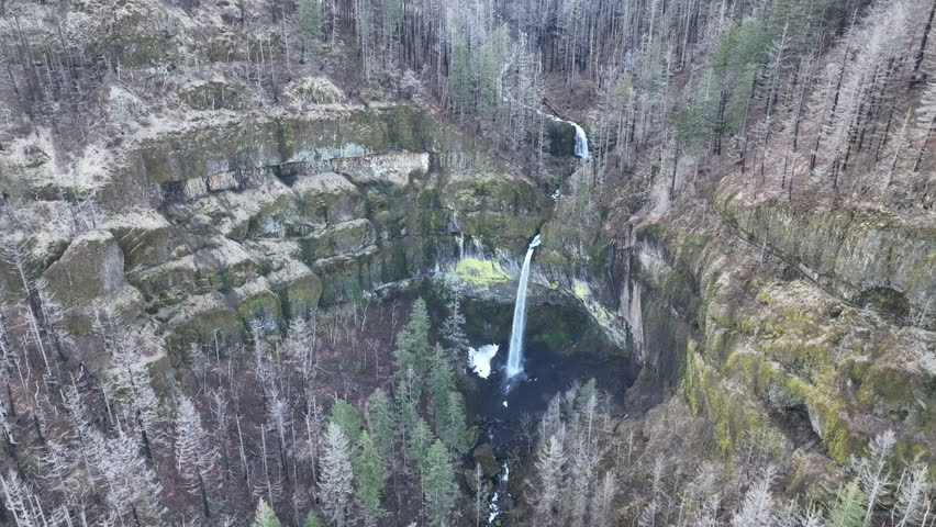 The beautiful Elowah Falls, flows out of a dramatic cliff on the Oregon side of the Columbia River Gorge. This magnificent natural wonder is just a 30 minute drive east of Portland.