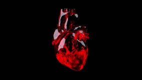 8-sec looped high-res animated human heart featuring a glass red material and high reflection, simulating a heartbeat. Ideal for medical, educational, or creative content.