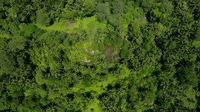 Drone view of Bali. Tropical trees in jungle. Forest in island Bali, Indonesia