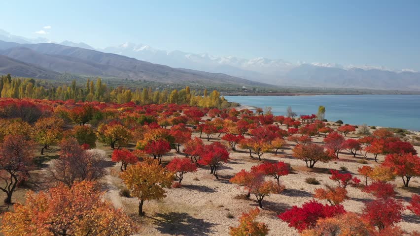 Drone view of scenic colorful landscape with mountains and variegated foliage. High quality 4k footage