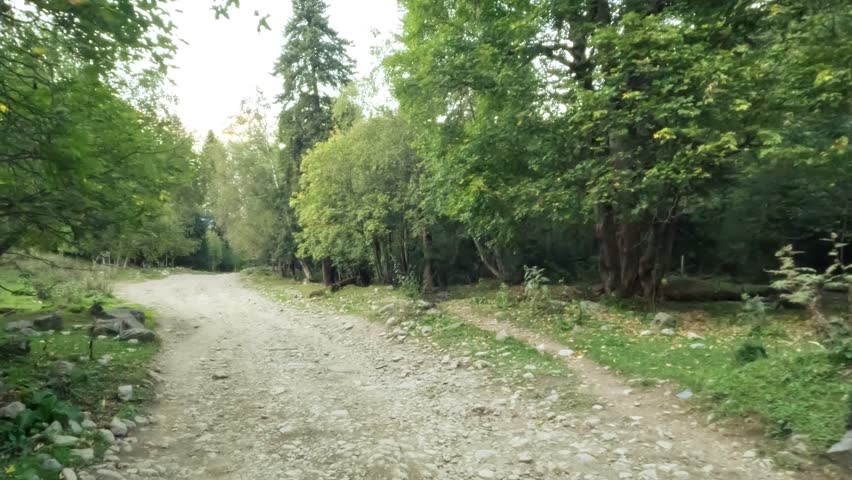 voyager offroad driving in the mountain woods path
