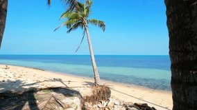 The beach is lined with tall coconut trees, swaying gently in the breeze. The sound of the rustling leaves is both calming and energizing, filling you with a sense of peace and tranquility. Thailand
