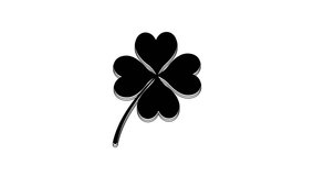 Black Four leaf clover icon isolated on white background. Happy Saint Patrick day. 4K Video motion graphic animation.
