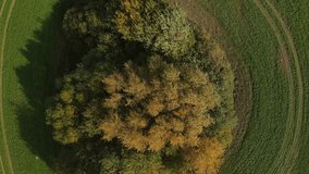 Video from a flying drone, the car drives along a country road along the roadside in the countryside, trees and fields