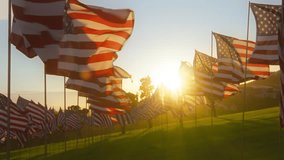 USA Flags at golden sunset. Waving United states of America flags memorial for National celebration concept slow motion, RED. Hundreds of American Flags blowing in wind at blue sunny sky background - Powered by Shutterstock - Get 15% off with code: PIKWIZARD15