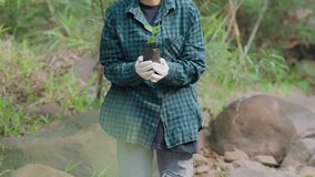 Asian woman holding plant a tree in forest. - Powered by Shutterstock - Get 15% off with code: PIKWIZARD15