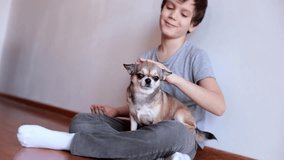 boy stroking a small dog sitting on the floor of the house, cute video, dog man friend