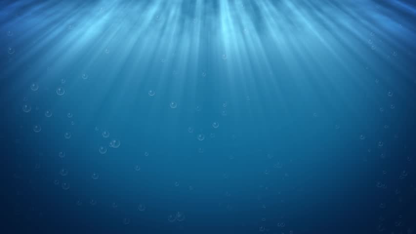 Chimaera Fish - Animated Text Information