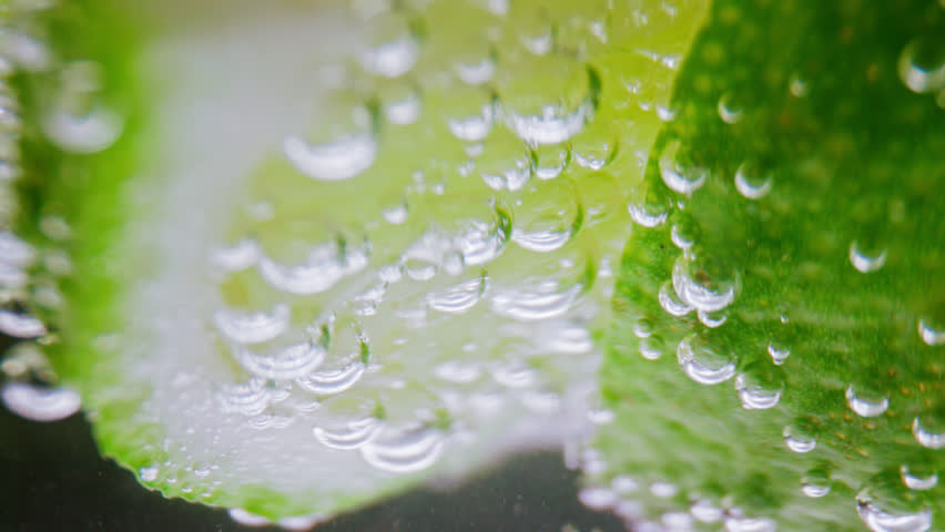 21,503 Barred Pattern Stock Videos