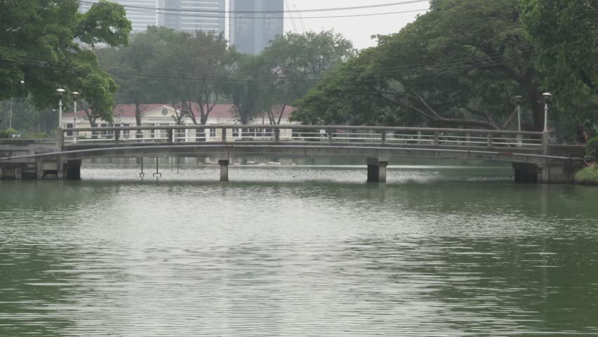 bridge footbridge across pond in park