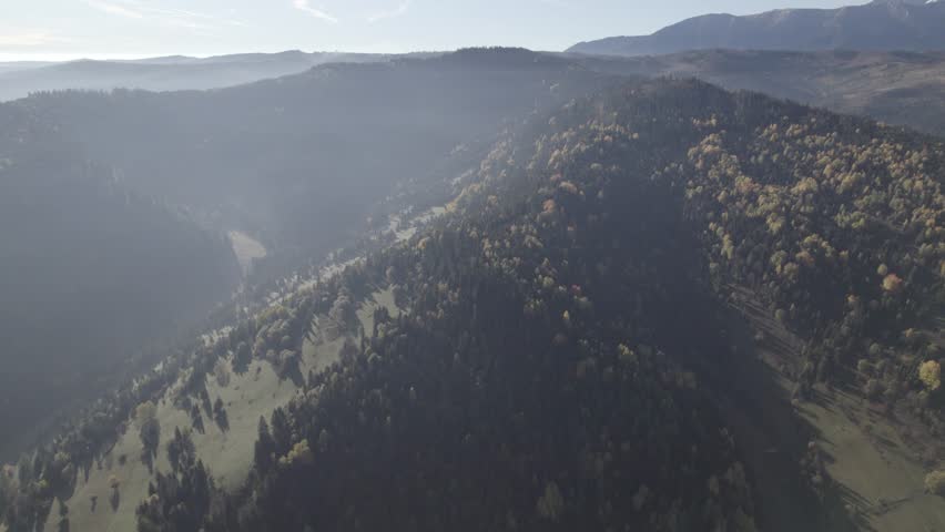 Aerial footage dron dji forest foggy mist
 Royalty-Free Stock Footage #1102131047