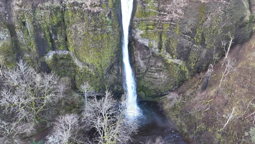 The beautiful Horsetail Falls is located on the Oregon side of the Columbia River Gorge. This magnificent natural wonder, along with many other waterfalls, is just a 30 minute drive east of Portland.