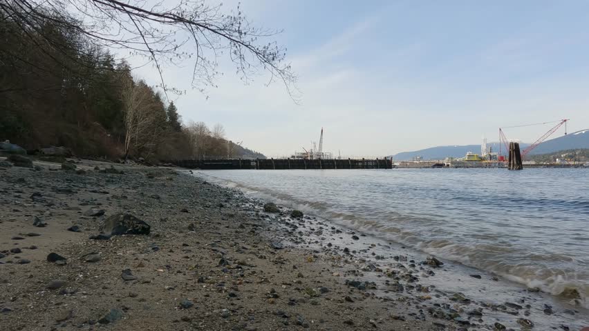 Sport Man Trail Running on the Beach by the water. Port Moody, Vancouver, British Columbia, Canada. Health and Fitness Concept. Slow Motion
