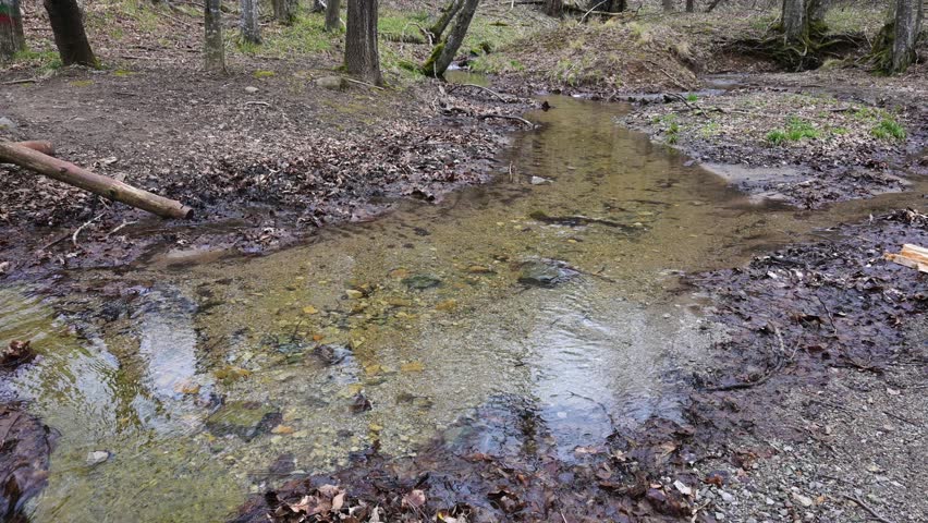 Spring view of small river at Vitosha Mountain, Sofia City region, Bulgaria