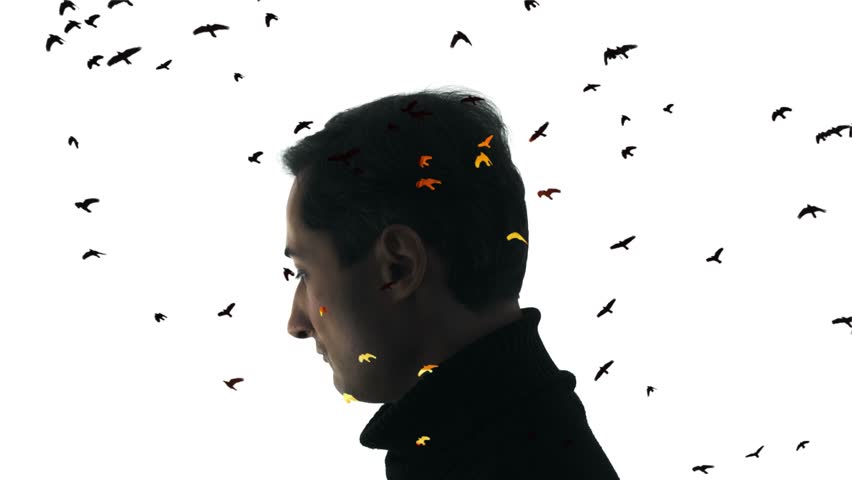 Computer graphics and double exposure. Portrait of a man with a sad face against which fiery birds fly. Emotional outburst | Shutterstock HD Video #1102166861