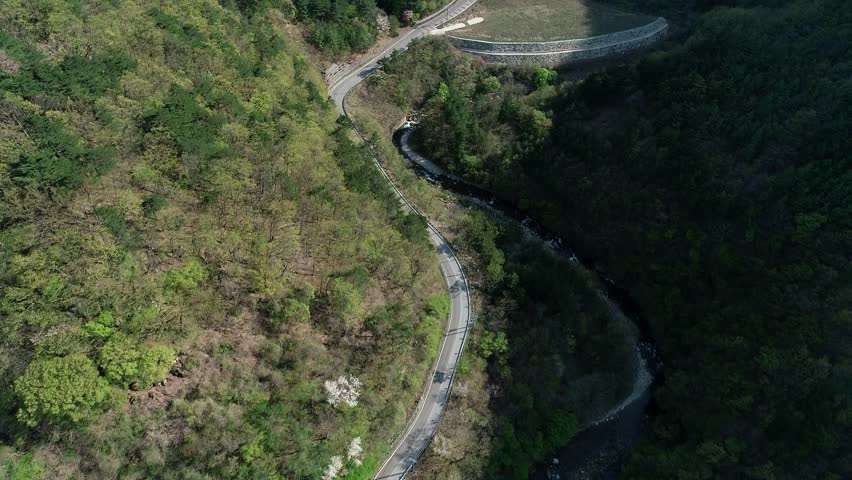 samcheok mountin view forest road