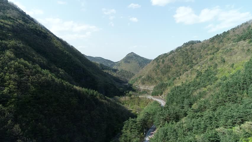 samcheok mountin view forest road