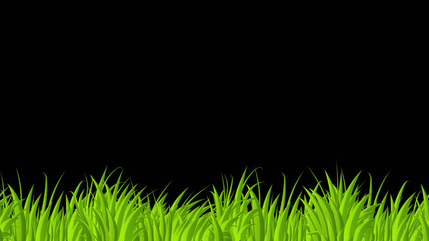 Looped animation of grass. Animation with grass moving. 4K seamless loop video footage. Transparent background with alpha channel