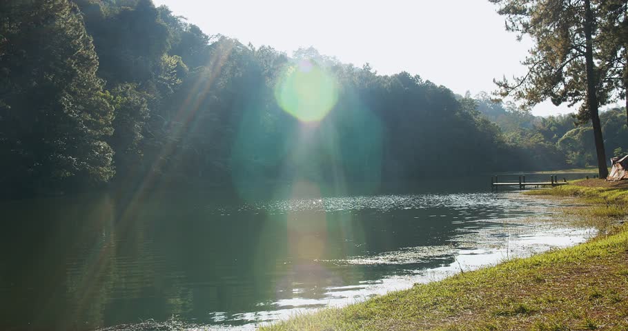 scenic landscape river lake pond in summer green tropical rainforest with sunlight flare in evening and reflection on surface, vacation holiday campsite pine trees, eco nature environment concept