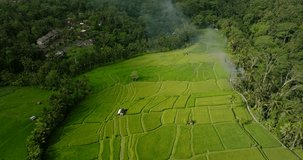 Drone view of Bali. Rice Terrace, Ubud, Bali, Indonesia. Top view
