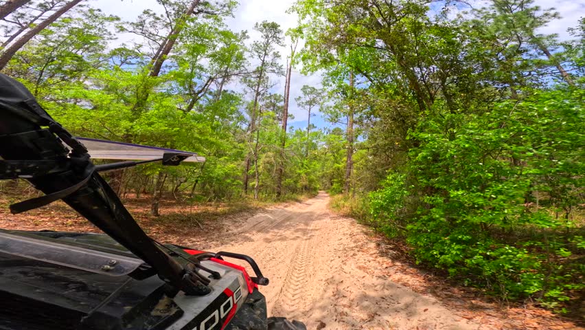 Silver Lake off highway vehicle PHV trails Tallahassee Florida USA