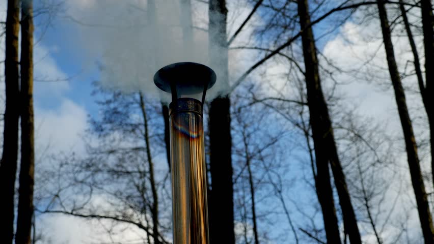 Smoking sauna chimney in the forest among the trees