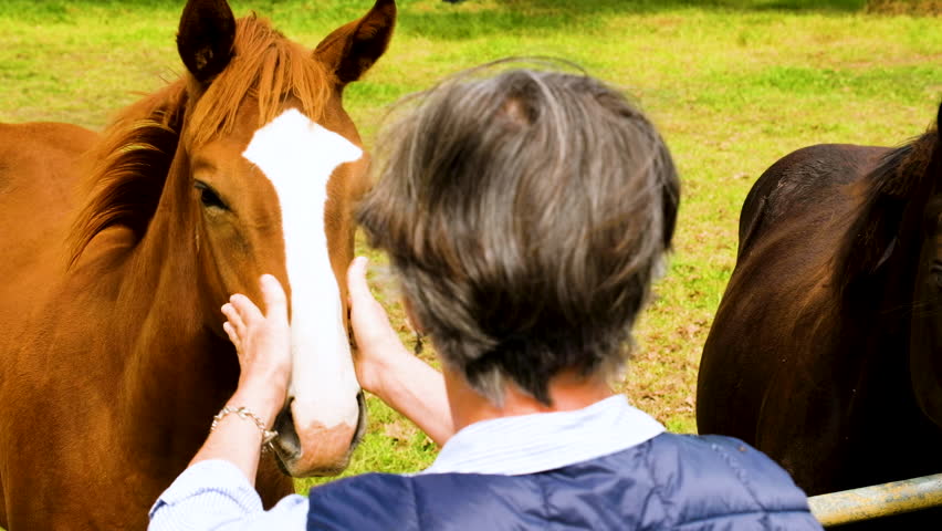 Lady spends times with horses in paddock - horse therapy concept; shot from back Royalty-Free Stock Footage #1102183651