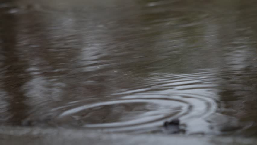 The raining. Bubbles form by the raindrops falling on the water.