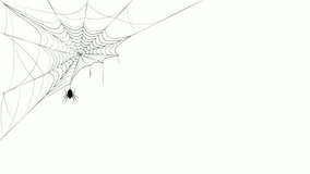 Animated spider web sways in the wind. The spider descends and climbs up and down on the cobweb. Emptiness and despondency. Looped video