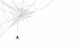 Animated spider web sways in the wind. The spider descends and climbs up and down on the cobweb. Emptiness and despondency. Looped video - Powered by Shutterstock - Get 15% off with code: PIKWIZARD15