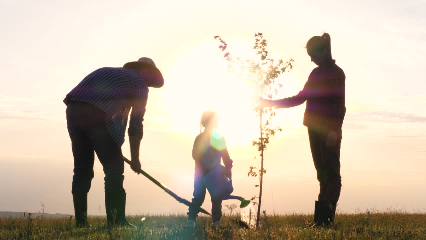 happy family planting tree sunset. father mother with child sunset teamwork. Agriculture. father farmer with his wife baby girl field. planting tree roots ground. happy childhood concept. rural lands. Royalty-Free Stock Footage #1102219383